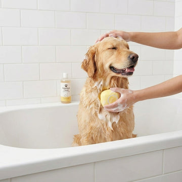 2-in-1 Pet Grooming Brush