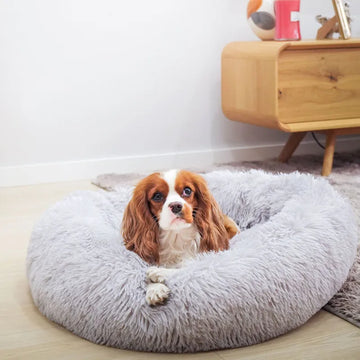 🐾 Calming Dog Bed
