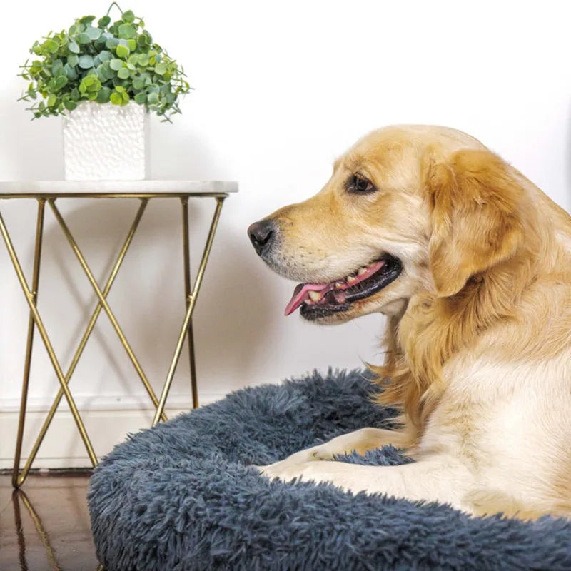 🐾 Calming Dog Bed