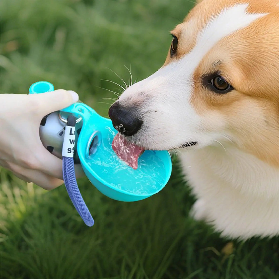 🐾 Portable Dog Water Bottle