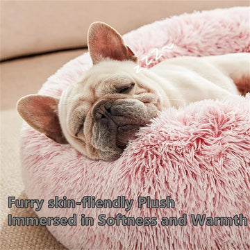 🐾Calming Plush Donut Bed for Dogs & Cats
