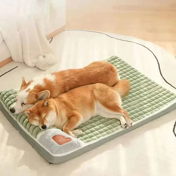 🐾 Orthopedic Dog Bed