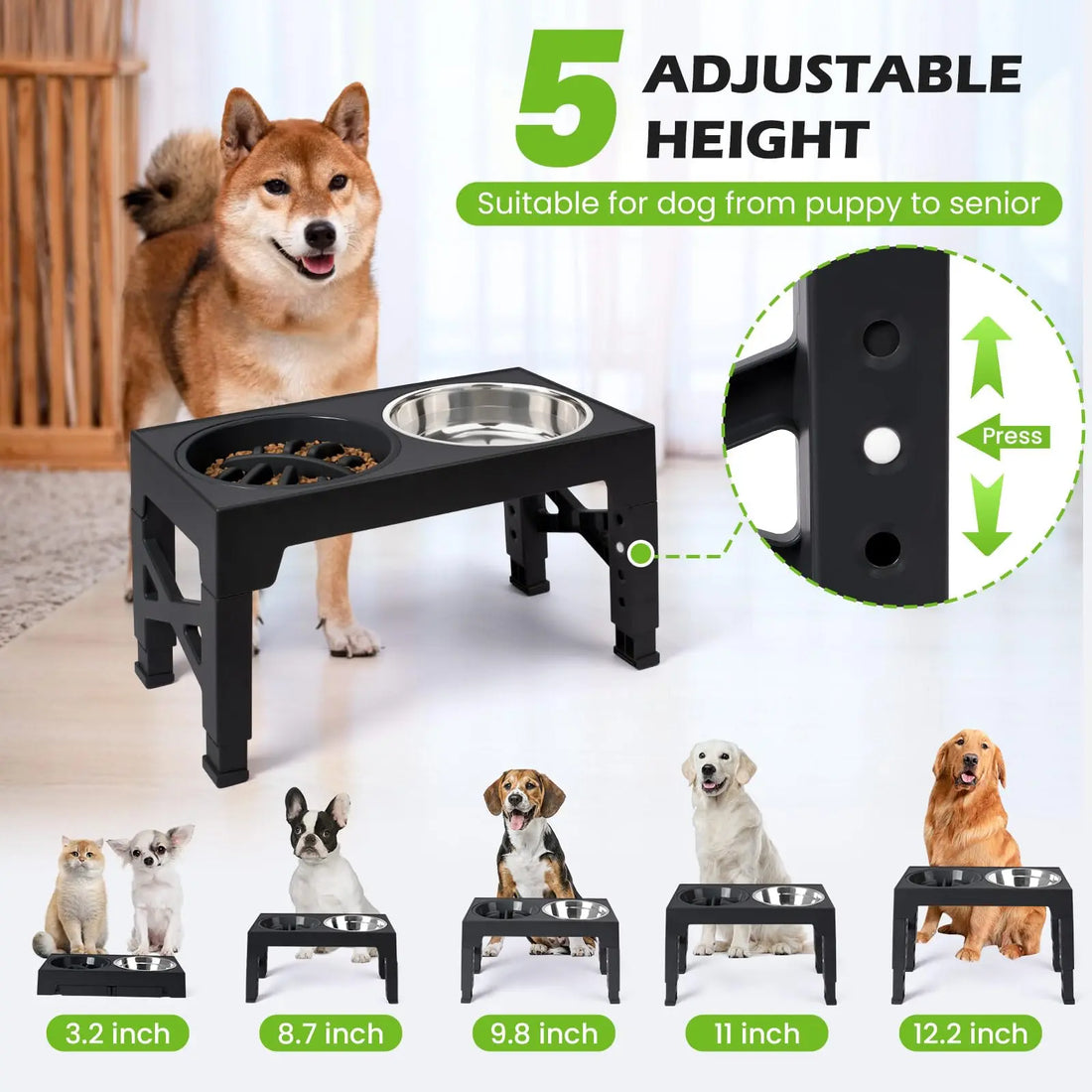 🐾 Adjustable Elevated Dog Feeder