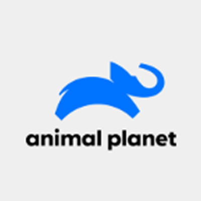 Media logo