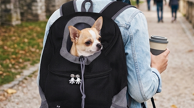 Travel Together