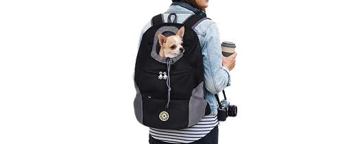 Pet Travel